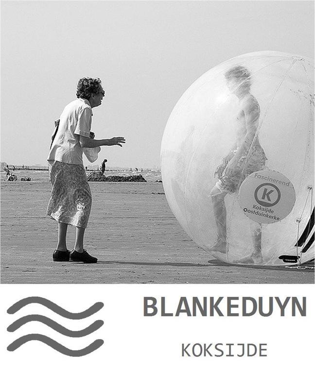 Ferienwohnung Blankeduyn Koksijde Exterior foto